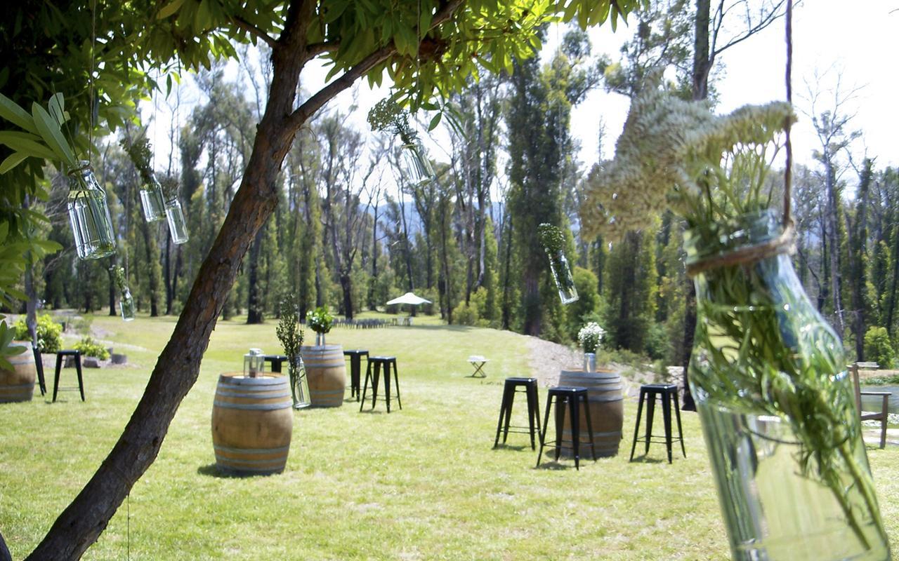 Saladin Lodge Narbethong Ngoại thất bức ảnh